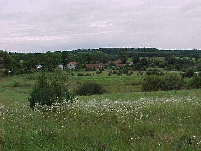 Okolice Biskupca - łąki