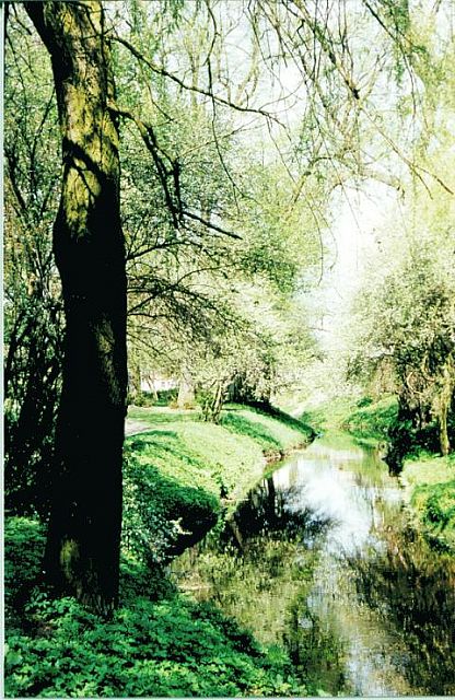 Rzeka Dymer - wiosna